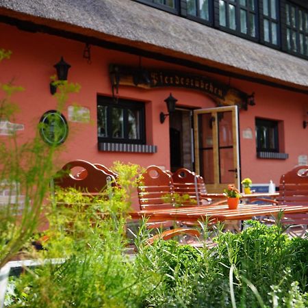 Apartamento Pferdehof Bela Nonnevitz Exterior foto